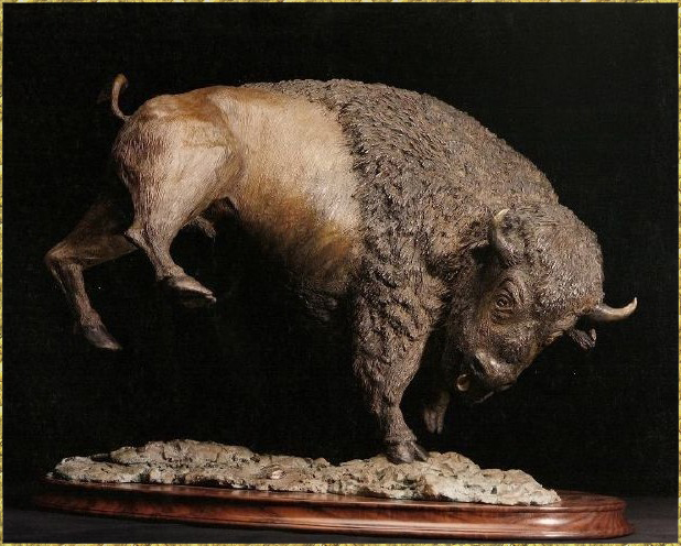 Bison